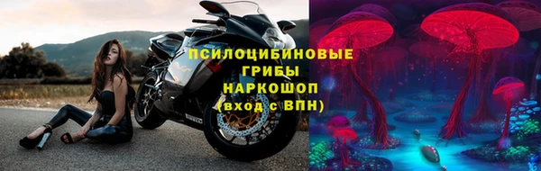 гидра Кукмор