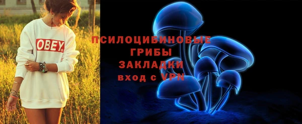 apvp Краснотурьинск