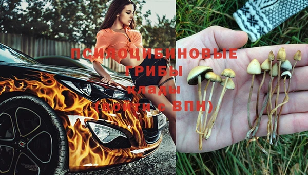 гидра Кукмор