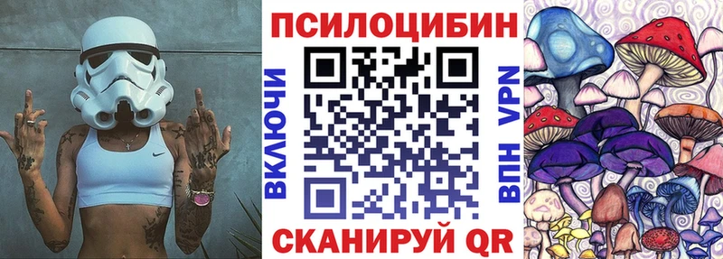 где продают наркотики  Чишмы  Галлюциногенные грибы Psilocybe 
